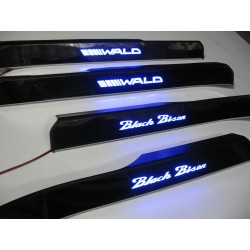 EXCLUSIVE DOOR LED SILL PLATES FOR MERCEDES S-Class W221 WITH ILLUMINATION