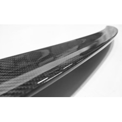 CARBON REAR SPOILER for BMW 5 G30