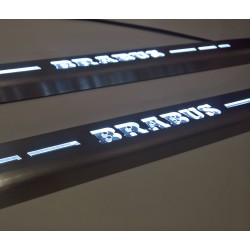 EXCLUSIVE DOOR LED SILL PLATES WITH ILLUMINATION FOR SMART FORTWO 450 or 451
