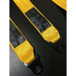 COLORED SAFETY BELTS