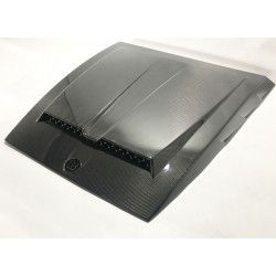 CARBON PAD COVER ON HOOD...